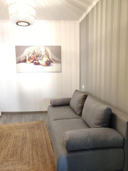 Cocon De Charline - Charme Et Elegance Dans Le Centre Montauban Exterior photo